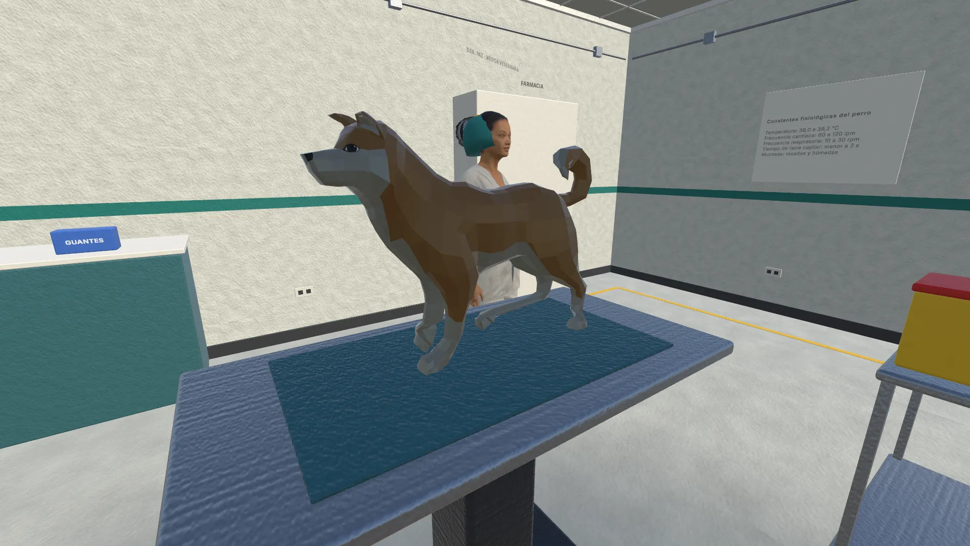 Clínica veterinaria virtual con una perra sobre la mesa de examen y la médica veterinaria